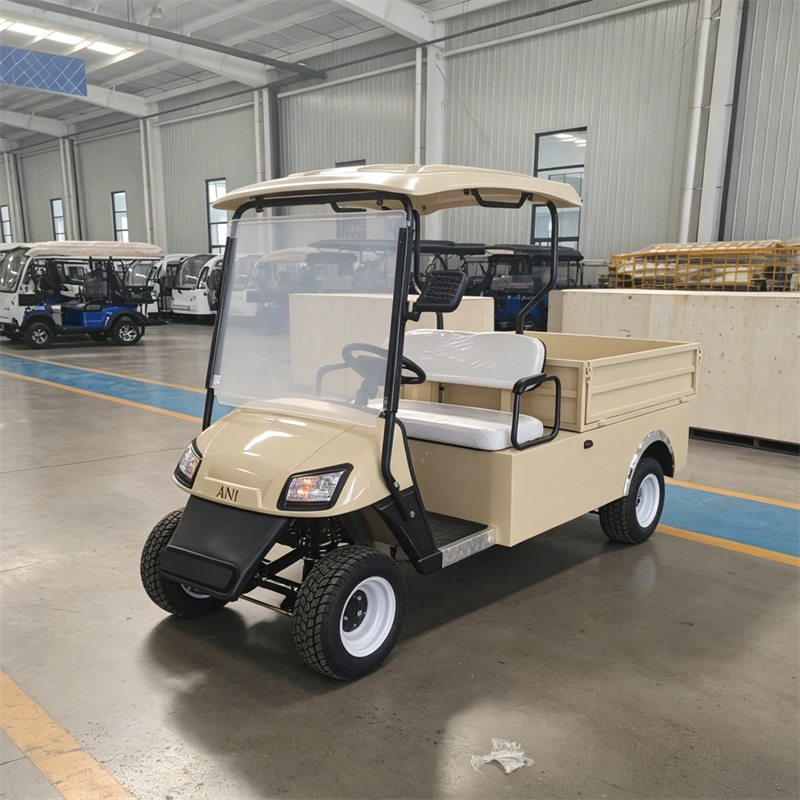 2座+货斗 米色 golf cart 800 (4).png
